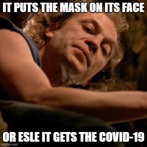 Buffalo Bill | IT PUTS THE MASK ON ITS FACE; OR ESLE IT GETS THE COVID-19 | image tagged in buffalo bill | made w/ Imgflip meme maker