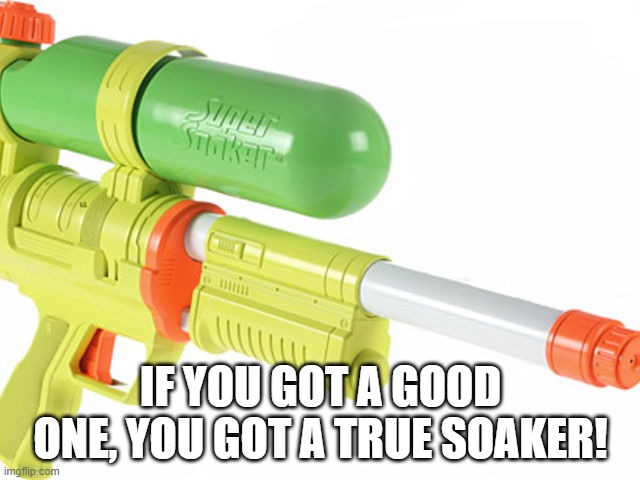 SQUIRT!!! | IF YOU GOT A GOOD ONE, YOU GOT A TRUE SOAKER! | image tagged in 90s kids | made w/ Imgflip meme maker