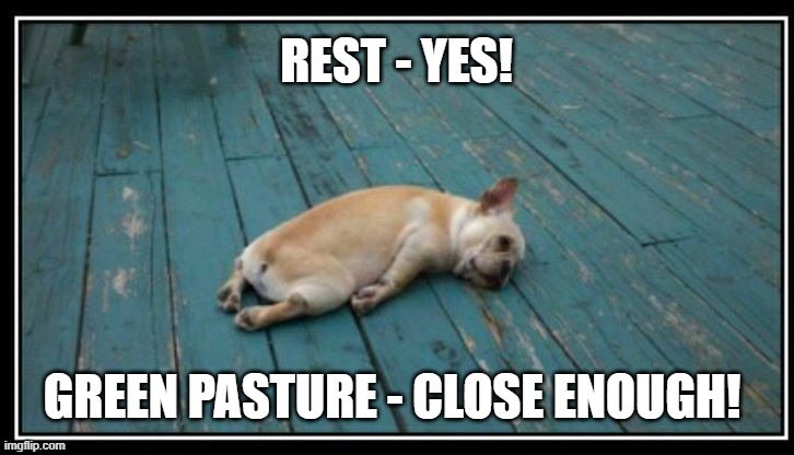 23rd Psalm | REST - YES! GREEN PASTURE - CLOSE ENOUGH! | image tagged in rest,psalm,tired,dog | made w/ Imgflip meme maker