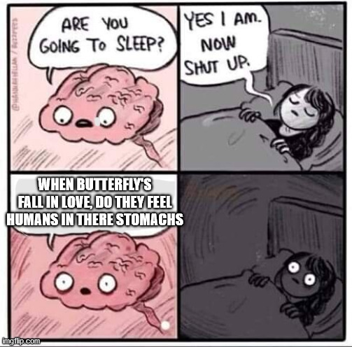 Are you going to sleep? |  WHEN BUTTERFLY'S FALL IN LOVE, DO THEY FEEL HUMANS IN THERE STOMACHS | image tagged in are you going to sleep | made w/ Imgflip meme maker
