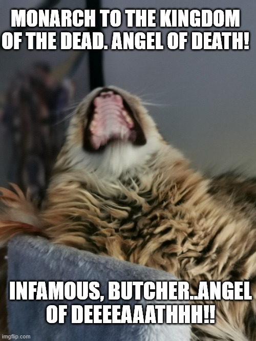 Slayer - Angel of Death | MONARCH TO THE KINGDOM OF THE DEAD. ANGEL OF DEATH! INFAMOUS, BUTCHER..ANGEL OF DEEEEAAATHHH!! | image tagged in slayer,funny cats | made w/ Imgflip meme maker