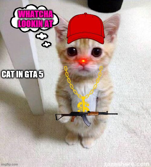 gta v cat | WHATCHA LOOKIN AT; CAT IN GTA 5 | image tagged in memes,cute cat,gta v | made w/ Imgflip meme maker