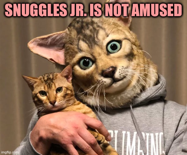 SNUGGLES JR. IS NOT AMUSED | made w/ Imgflip meme maker