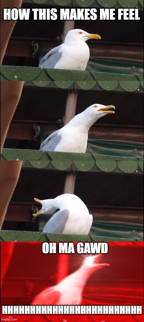 Inhaling Seagull Meme | HOW THIS MAKES ME FEEL OH MA GAWD HHHHHHHHHHHHHHHHHHHHHHHHH | image tagged in memes,inhaling seagull | made w/ Imgflip meme maker
