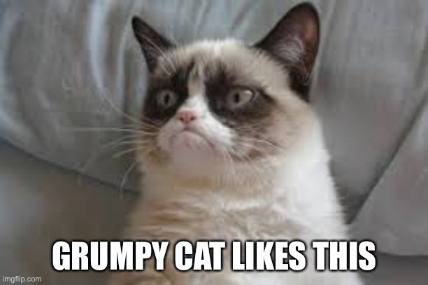 Grumpy Cat Approves | GRUMPY CAT LIKES THIS | image tagged in grumpy cat,cats,funny,funny memes,memes,reactions | made w/ Imgflip meme maker