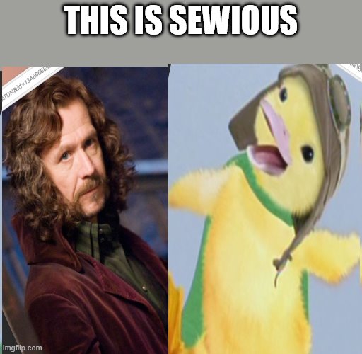 this is sewious | THIS IS SEWIOUS | image tagged in harry potter | made w/ Imgflip meme maker