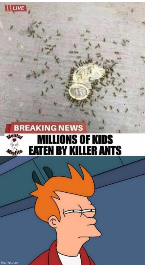 I SEE WHAT THEY DID THERE | image tagged in memes,futurama fry,headlines,wtf,fake news | made w/ Imgflip meme maker