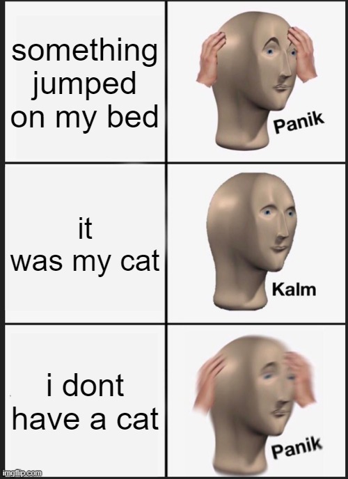 Panik Kalm Panik | something jumped on my bed; it was my cat; i dont have a cat | image tagged in memes,panik kalm panik | made w/ Imgflip meme maker