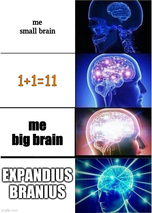 The types of brains... | me small brain; 1+1=11; me big brain; EXPANDIUS BRANIUS | image tagged in memes,expanding brain | made w/ Imgflip meme maker