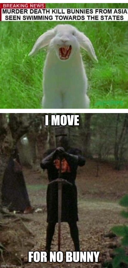 DEATH AWAITS YOU ALL | I MOVE; FOR NO BUNNY | image tagged in monty python,memes,bunny,breaking news,monty python black knight | made w/ Imgflip meme maker
