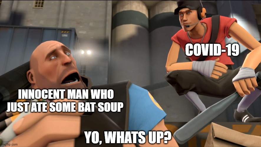 Yo what's up ? |  COVID-19; INNOCENT MAN WHO JUST ATE SOME BAT SOUP; YO, WHATS UP? | image tagged in yo what's up | made w/ Imgflip meme maker