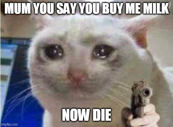 Sad cat with gun | MUM YOU SAY YOU BUY ME MILK; NOW DIE | image tagged in sad cat with gun | made w/ Imgflip meme maker