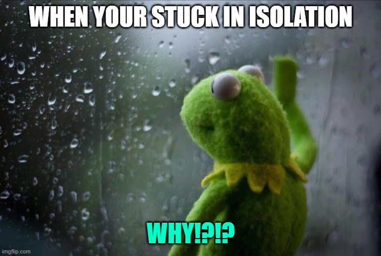 Isolation be like: | WHEN YOUR STUCK IN ISOLATION; WHY!?!? | image tagged in sad kermit,coronavirus,oh god why | made w/ Imgflip meme maker