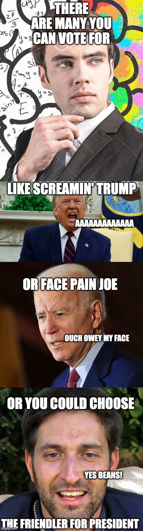 Vote for the friendler! | THERE ARE MANY YOU CAN VOTE FOR; LIKE SCREAMIN' TRUMP; AAAAAAAAAAAAA; OR FACE PAIN JOE; OUCH OWEY MY FACE; OR YOU COULD CHOOSE; YES BEANS! THE FRIENDLER FOR PRESIDENT | image tagged in vote | made w/ Imgflip meme maker