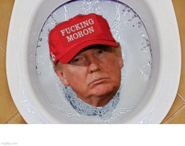 Trump down the tubes | image tagged in donald trump,flush 15 times,maga,i was eating paper and fell in,bawhoosh | made w/ Imgflip meme maker