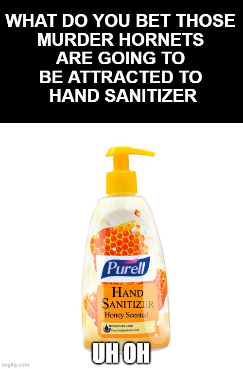 What are the chances? | WHAT DO YOU BET THOSE 
MURDER HORNETS 
ARE GOING TO 
BE ATTRACTED TO 
HAND SANITIZER; UH OH | image tagged in hand sanitizer,murder hornets | made w/ Imgflip meme maker