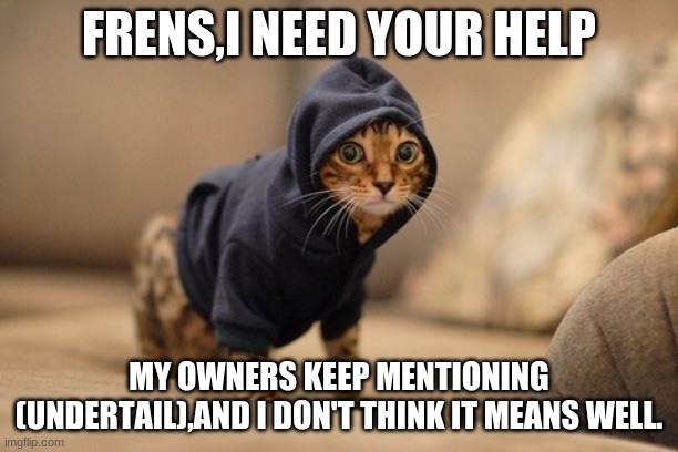 HALP | FRENS,I NEED YOUR HELP; MY OWNERS KEEP MENTIONING (UNDERTAIL),AND I DON'T THINK IT MEANS WELL. | image tagged in memes,hoody cat | made w/ Imgflip meme maker