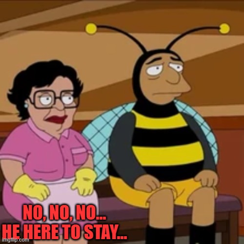 NO, NO, NO... HE HERE TO STAY... | made w/ Imgflip meme maker