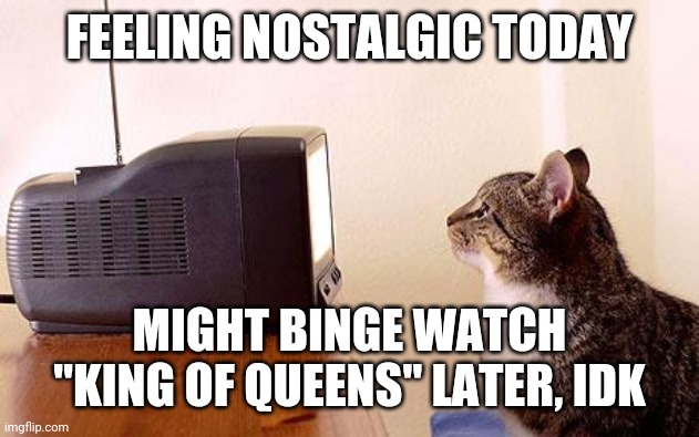 #RIP Jerry Stiller, you will be missed. | FEELING NOSTALGIC TODAY; MIGHT BINGE WATCH "KING OF QUEENS" LATER, IDK | image tagged in cat watching tv,king of queens,nostalgia,jerry stiller,rip,binge watching | made w/ Imgflip meme maker