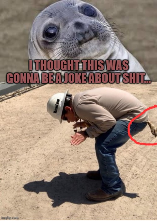I THOUGHT THIS WAS GONNA BE A JOKE ABOUT SHIT... | image tagged in akward moment seal | made w/ Imgflip meme maker
