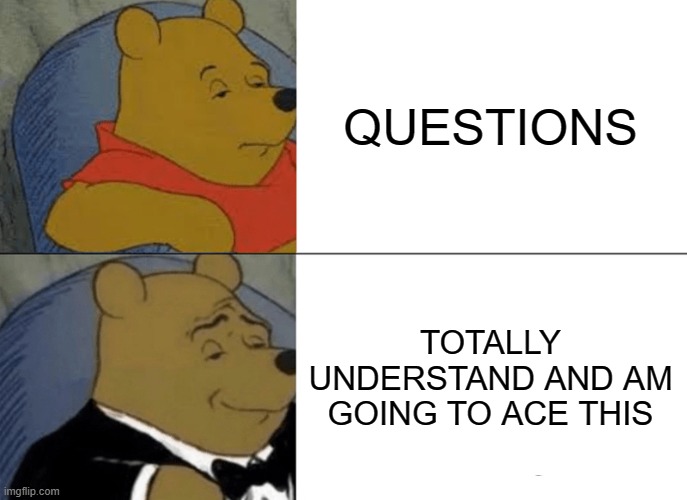 QUESTIONS VS TOTALLY ACING THIS | QUESTIONS; TOTALLY UNDERSTAND AND AM GOING TO ACE THIS | image tagged in memes,tuxedo winnie the pooh | made w/ Imgflip meme maker