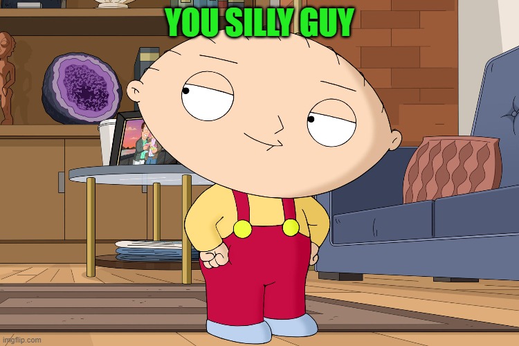 family guy | YOU SILLY GUY | image tagged in family guy | made w/ Imgflip meme maker