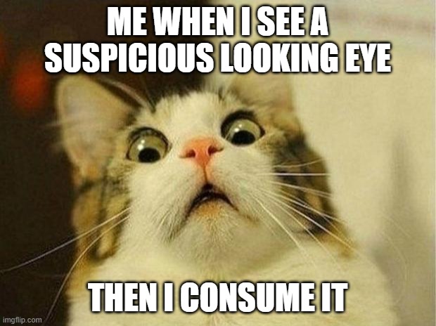 EYES!!! | ME WHEN I SEE A SUSPICIOUS LOOKING EYE; THEN I CONSUME IT | image tagged in memes,scared cat | made w/ Imgflip meme maker