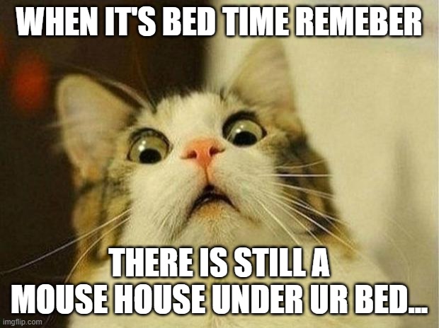 BE scared | WHEN IT'S BED TIME REMEBER; THERE IS STILL A MOUSE HOUSE UNDER UR BED... | image tagged in memes,scared cat | made w/ Imgflip meme maker