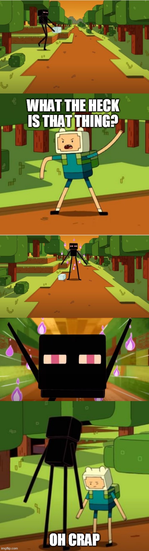 SHOULD HAVE KEPT YOUR MOUTH SHUT | WHAT THE HECK IS THAT THING? OH CRAP | image tagged in adventure time,memes,finn the human,enderman,minecraft | made w/ Imgflip meme maker