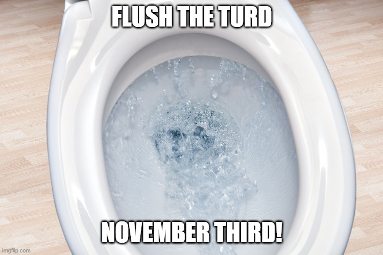 FLUSH THE TURD; NOVEMBER THIRD! | made w/ Imgflip meme maker