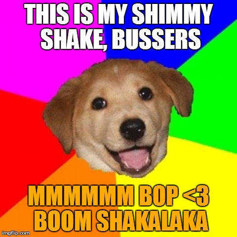 Advice Dog Meme | THIS IS MY SHIMMY SHAKE, BUSSERS MMMMMM BOP <3 BOOM SHAKALAKA | image tagged in memes,advice dog | made w/ Imgflip meme maker