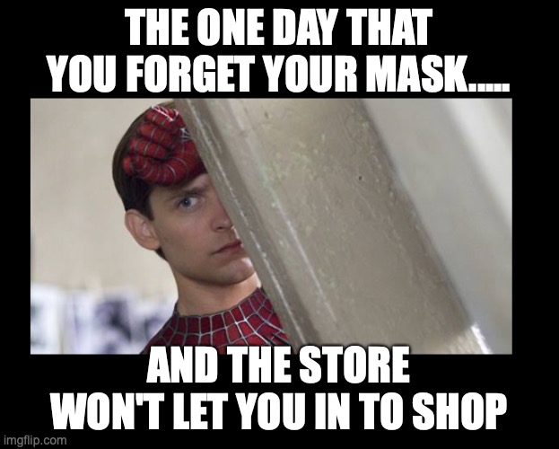 no mask | THE ONE DAY THAT YOU FORGET YOUR MASK..... AND THE STORE WON'T LET YOU IN TO SHOP | image tagged in no mask,pathetic spidey | made w/ Imgflip meme maker