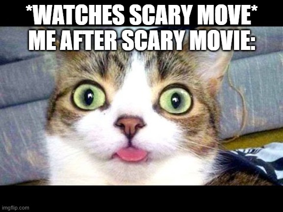 Scardey cat | *WATCHES SCARY MOVE*
ME AFTER SCARY MOVIE: | image tagged in cat,surprised,scary movie | made w/ Imgflip meme maker