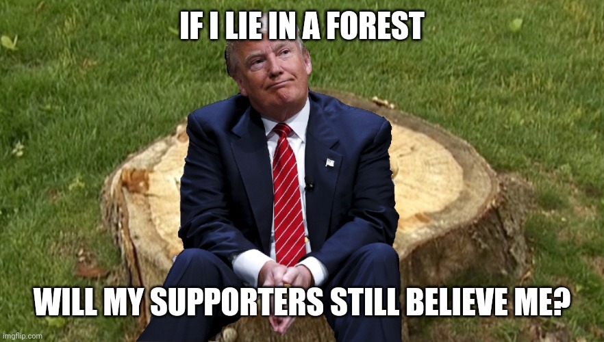 Trump on a stump | IF I LIE IN A FOREST; WILL MY SUPPORTERS STILL BELIEVE ME? | image tagged in trump on a stump | made w/ Imgflip meme maker