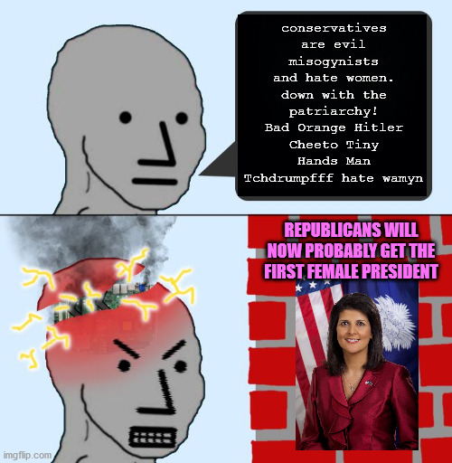 conservatives are evil misogynists and hate women. down with the patriarchy! Bad Orange Hitler Cheeto Tiny Hands Man Tchdrumpfff hate wamyn  | image tagged in npc,angry,female,woman,leftists,conservatives | made w/ Imgflip meme maker