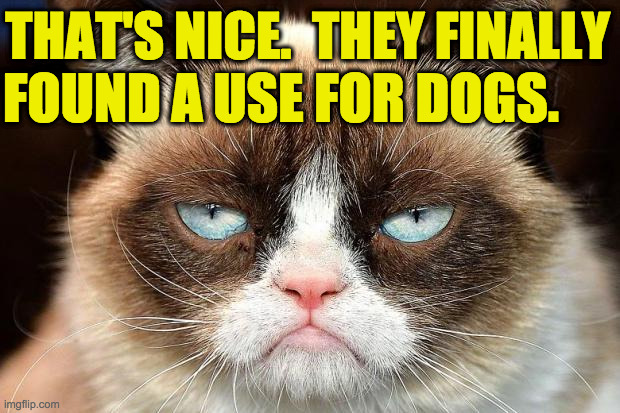 Grumpy Cat Not Amused Meme | THAT'S NICE.  THEY FINALLY FOUND A USE FOR DOGS. | image tagged in memes,grumpy cat not amused,grumpy cat | made w/ Imgflip meme maker