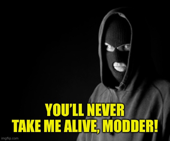 Criminal | YOU’LL NEVER TAKE ME ALIVE, MODDER! | image tagged in criminal | made w/ Imgflip meme maker