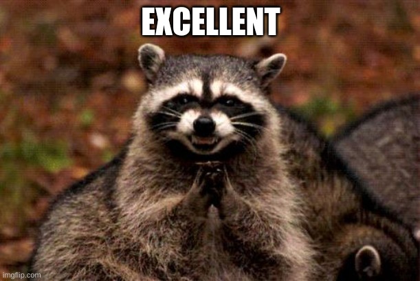 Evil Plotting Raccoon Meme | EXCELLENT | image tagged in memes,evil plotting raccoon | made w/ Imgflip meme maker