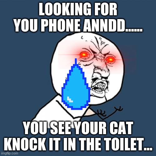 Nooo!! | LOOKING FOR YOU PHONE ANNDD...... YOU SEE YOUR CAT KNOCK IT IN THE TOILET... | image tagged in memes,y u no | made w/ Imgflip meme maker