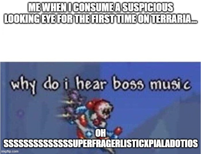My first time... | ME WHEN I CONSUME A SUSPICIOUS LOOKING EYE FOR THE FIRST TIME ON TERRARIA... OH SSSSSSSSSSSSSSUPERFRAGERLISTICXPIALADOTIOS | image tagged in why do i hear boss music | made w/ Imgflip meme maker