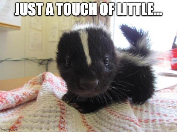 LITTLE STINKER | JUST A TOUCH OF LITTLE... | image tagged in little stinker | made w/ Imgflip meme maker