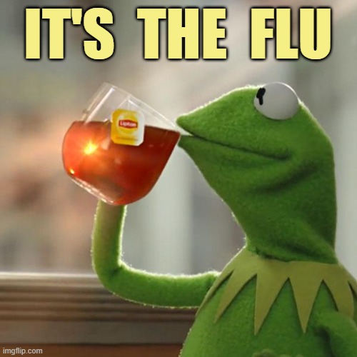 But That's None Of My Business Meme | IT'S  THE  FLU | image tagged in memes,but that's none of my business,kermit the frog | made w/ Imgflip meme maker