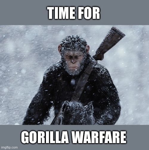 TIME FOR GORILLA WARFARE | made w/ Imgflip meme maker