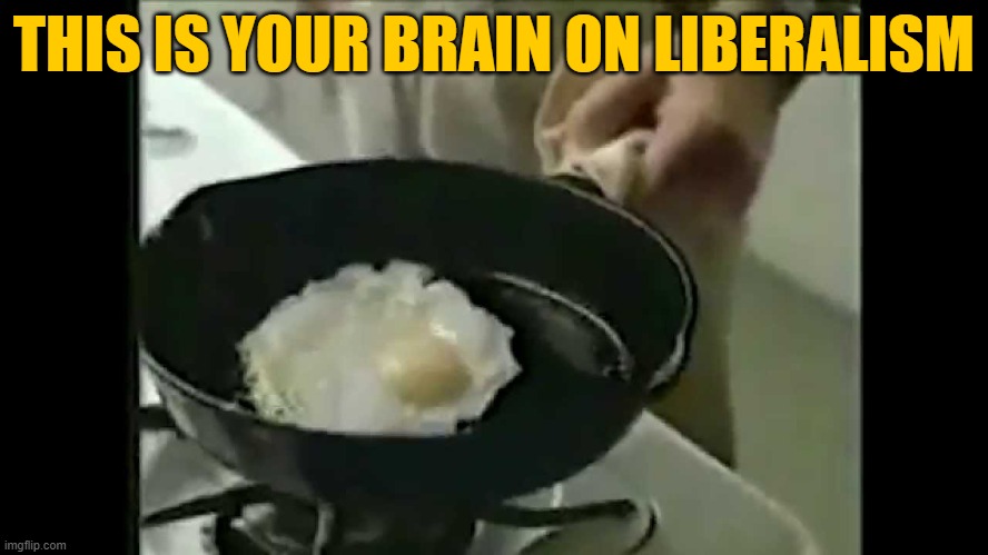 Brain on Drugs | THIS IS YOUR BRAIN ON LIBERALISM | image tagged in brain on drugs | made w/ Imgflip meme maker