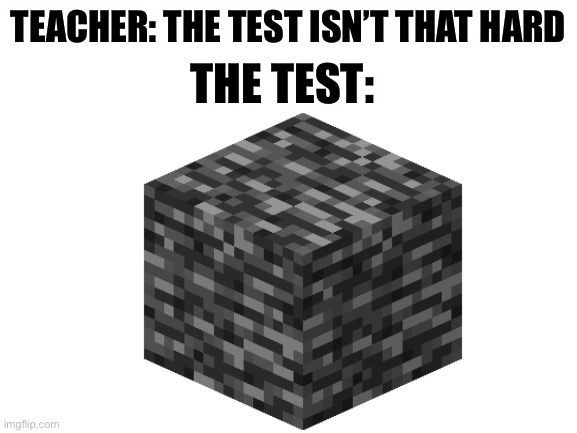 Epic gamers will understand | THE TEST:; TEACHER: THE TEST ISN’T THAT HARD | image tagged in minecraft | made w/ Imgflip meme maker