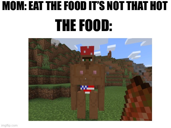 The food isn’t that hot | MOM: EAT THE FOOD IT’S NOT THAT HOT; THE FOOD: | image tagged in minecraft,villager | made w/ Imgflip meme maker