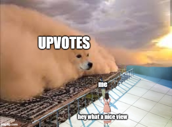 what a great view | UPVOTES; me; hey what a nice view | image tagged in upvote please | made w/ Imgflip meme maker