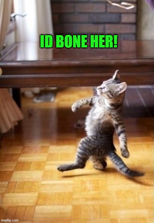 ID BONE HER! | image tagged in proud kitty | made w/ Imgflip meme maker
