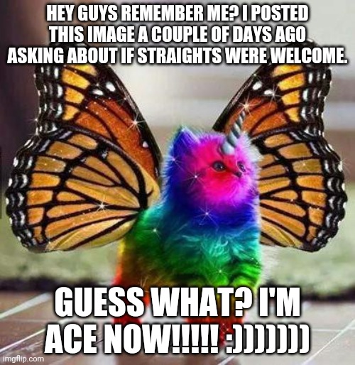 Rainbow unicorn butterfly kitten | HEY GUYS REMEMBER ME? I POSTED THIS IMAGE A COUPLE OF DAYS AGO ASKING ABOUT IF STRAIGHTS WERE WELCOME. GUESS WHAT? I'M ACE NOW!!!!! :))))))) | image tagged in rainbow unicorn butterfly kitten | made w/ Imgflip meme maker