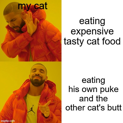 Drake Hotline Bling | my cat; eating expensive tasty cat food; eating his own puke and the other cat's butt | image tagged in memes,drake hotline bling,cat | made w/ Imgflip meme maker